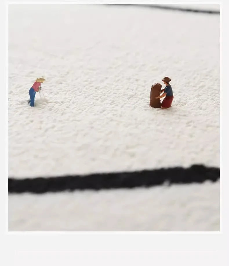 Bathroom Rugs Non-Slip Bath Rugs Dirty Resistant Plush Carpet Toilet Absorbent Bath Rugs  Plush Carpet Wash Dry Shower Pad