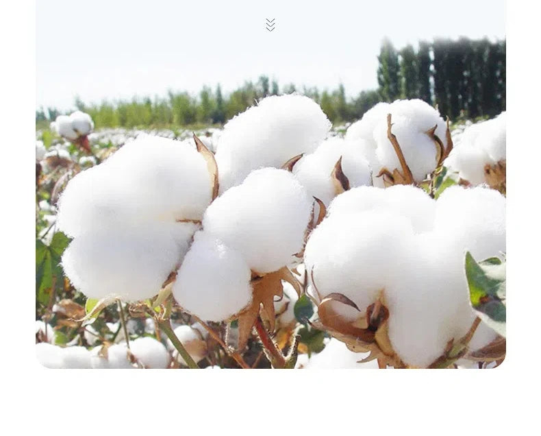 1/5pc Baby Face Towel Newborn Cotton Items Muslin Baby Bibs Handkerchief Towels Soft Saliva Towel Feeding Burp Cloths Facecloth