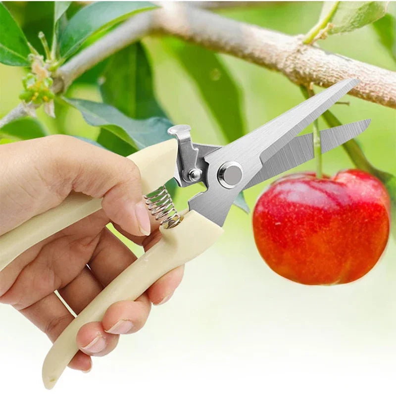 Garden shears, pruning shears, flower shears, garden scissors, floral shears, branch shears, fruit tree shears, pruning scissors