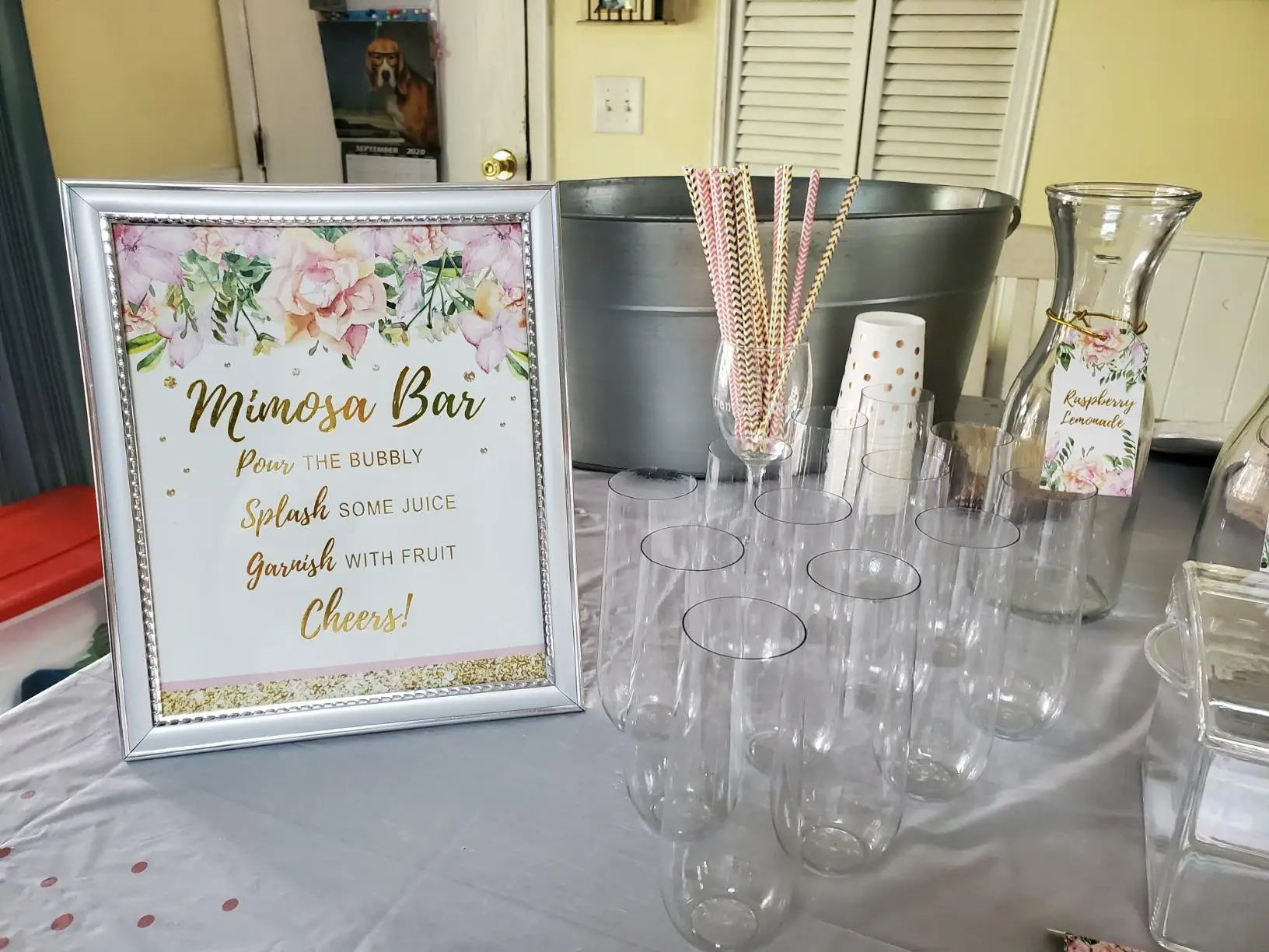 12-48Pcs Plastic Champagne Flutes 9Oz Stemless Plastic Champagne Glasses Shatterproof Disposable for Mimosa Bar Wedding Toasting