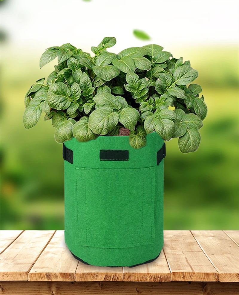 3 Size Felt plant grow bags nonwoven fabric garden potato pot greenhouse vegetable growing bags moisturizing vertical tools